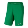 Spodenki piłkarskie Nike JR Short Park III Knit 302