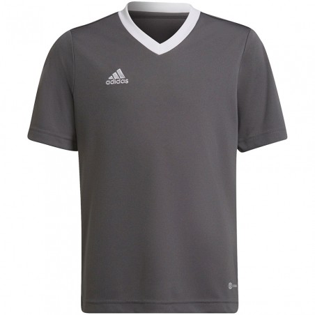 Adidas JR Entrada 22 Jersey H57499 Szara 3