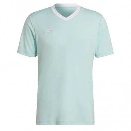 Adidas JR Entrada 22 Jersey H57497 Miętowa