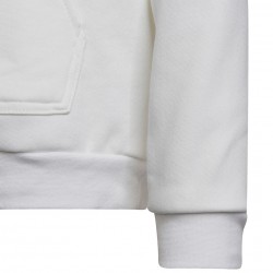 Bluza bawełniana dla dzieci Adidas Entrada 22 Hoody HG6303
