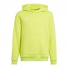 Bluza bawełniana dla dzieci Adidas Entrada 22 Hoody HC5069