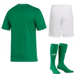 Strój piłkarski Adidas Entrada 22 Zielony-Biały