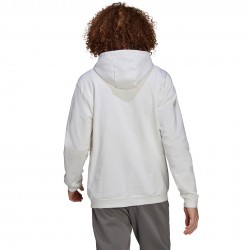 Męska bluza Adidas Entrada 22 Hoody Biała HG6302