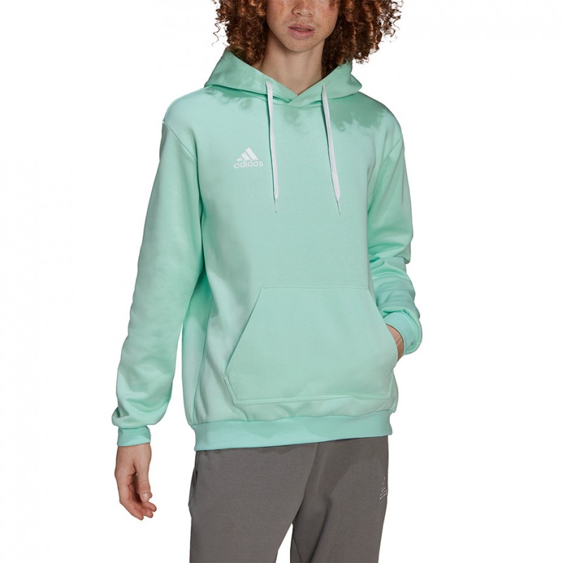 Męska bluza Adidas Entrada 22 Hoody Miętowa HC5081