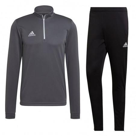 Dres treningowy Adidas Entrada 22 Training Szary