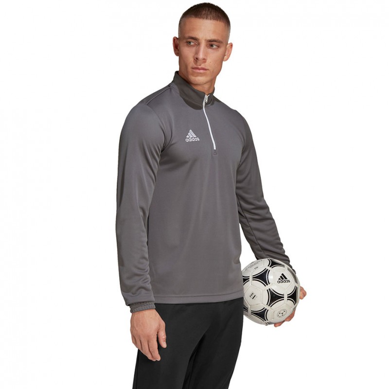 Dres treningowy Adidas Entrada 22 Training Szary