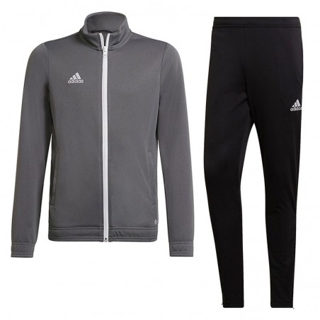 Dres treningowy Adidas Entrada 22 Track Szary