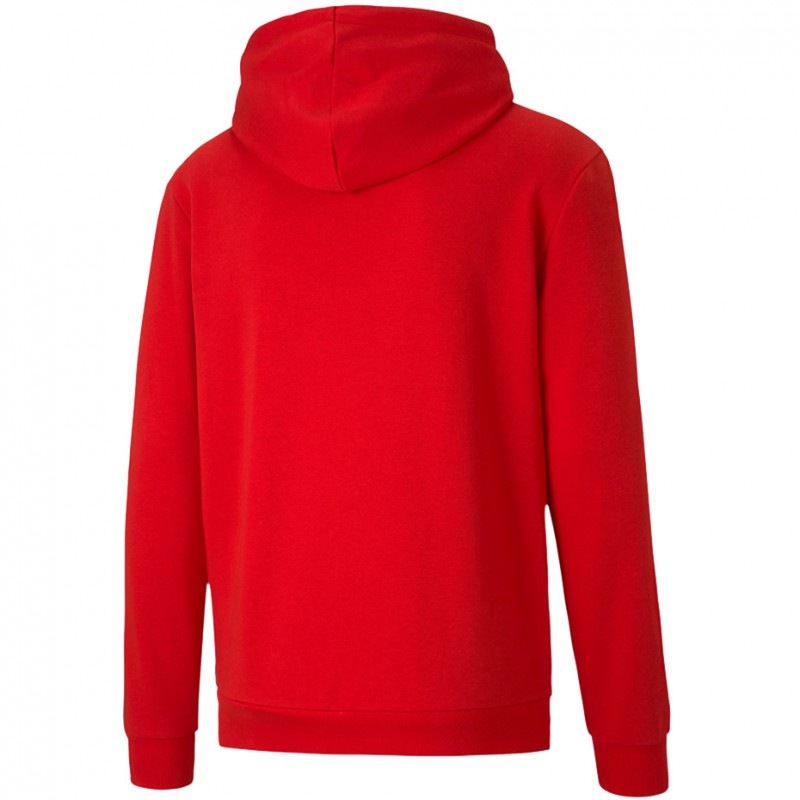 Męska bluza z kapturem Puma teamGOAL 23 Causals Hoody 656580-01