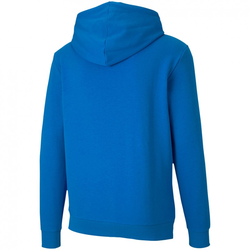 Męska bluza z kapturem Puma teamGOAL 23 Causals Hoody