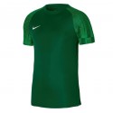 Koszulka piłkarska Nike DF Academy SS DH8031-302
