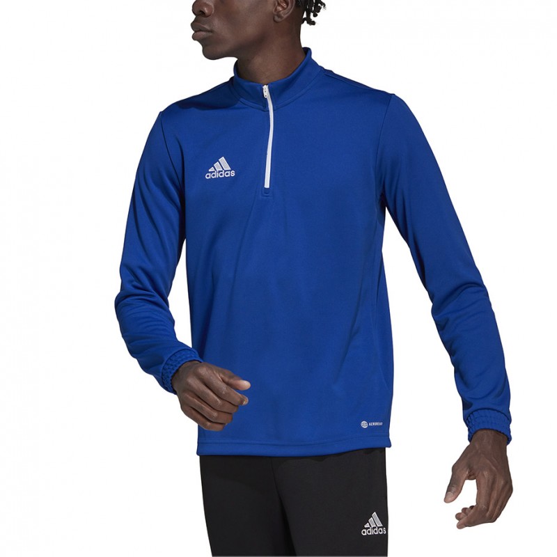 Dres treningowy Adidas Entrada 22 Training Niebieski