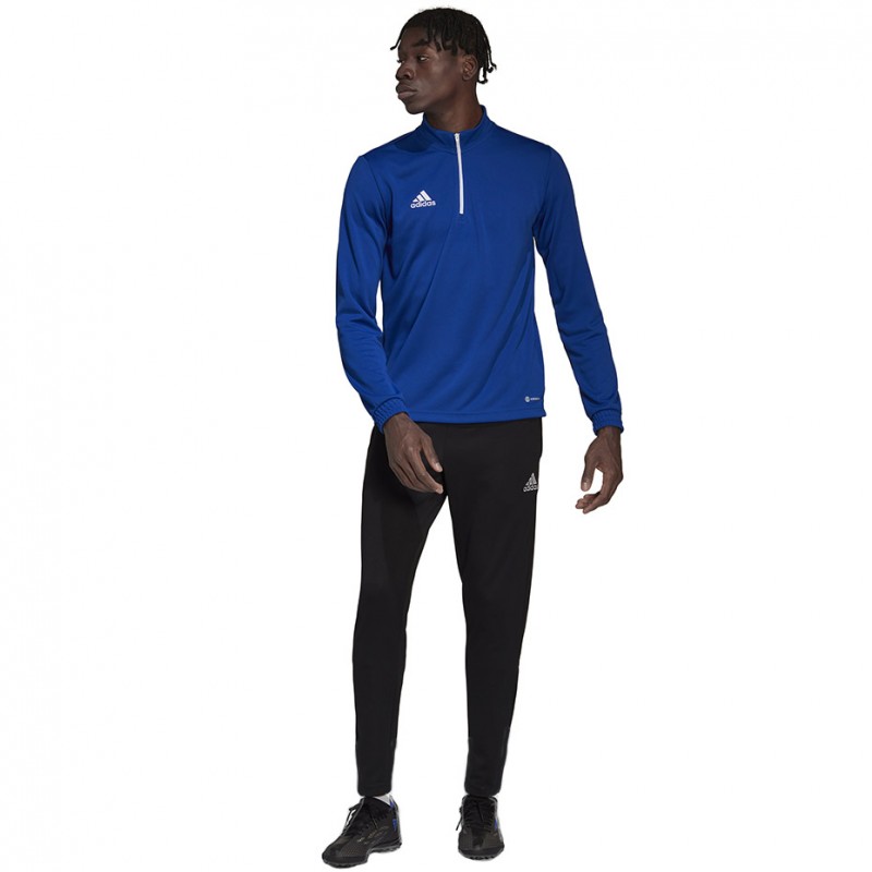 Dres treningowy Adidas Entrada 22 Training Niebieski