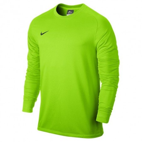 Bluza Bramkarska Nike Park Goalie II Jersey 303