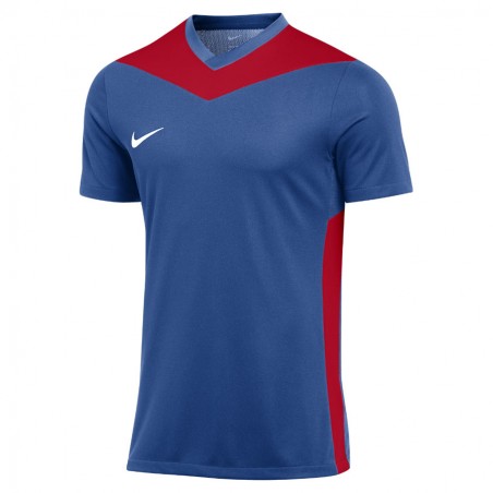 koszulka-pilkarska-nike-park-derby-iv-jersey-fd7430-464