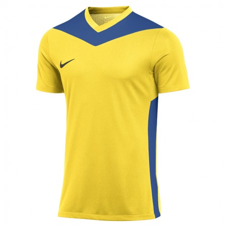 koszulka-pilkarska-nike-park-derby-iv-jersey-fd7430-720