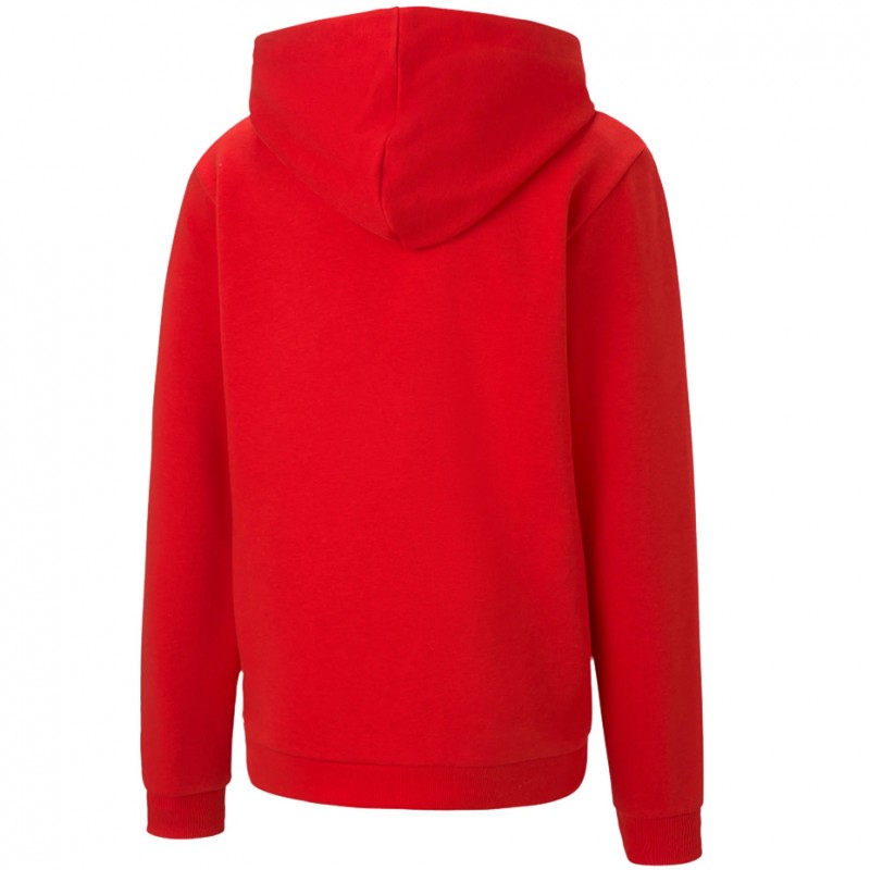 Bluza dziecięca z kapturem Puma teamGOAL 23 Casuals Hoody 656711-01