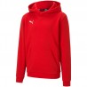 Bluza dziecięca z kapturem Puma teamGOAL 23 Casuals Hoody 656711-01