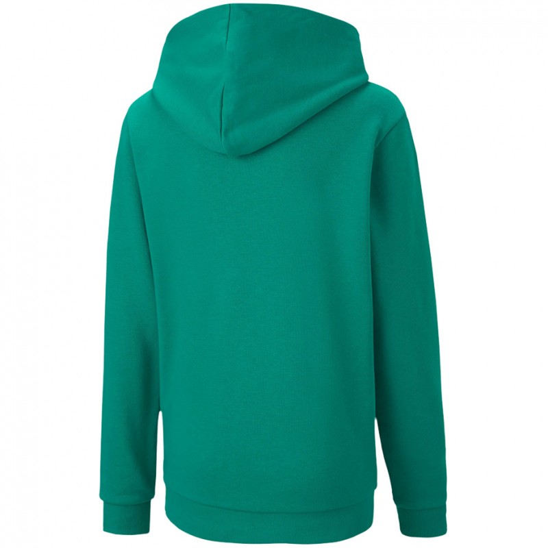 Bluza dziecięca z kapturem Puma teamGOAL 23 Casuals Hoody 656711-05