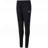 Spodnie dresowe dla dzieci Puma JR teamRISE Poly Training Pants 657391-03