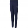 Spodnie dresowe dla dzieci Puma JR teamRISE Poly Training Pants 657391-06