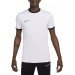 Koszulka Nike Academy 25 Top SS FZ9754-100