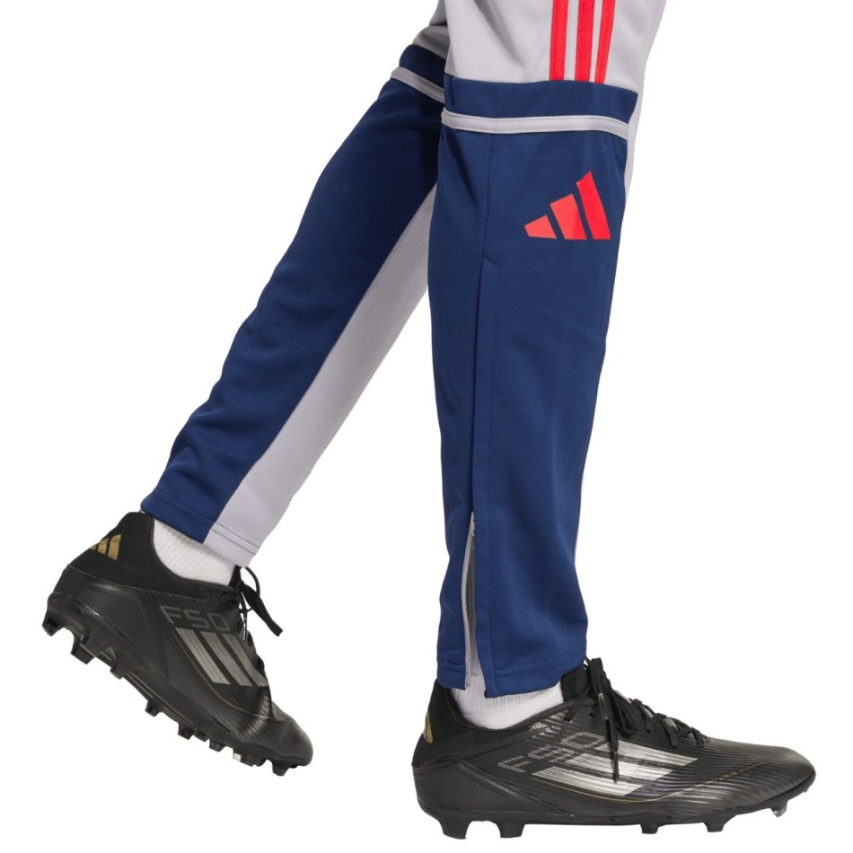 Dres rozpinany męski Adidas Squadra 25 Training Szary